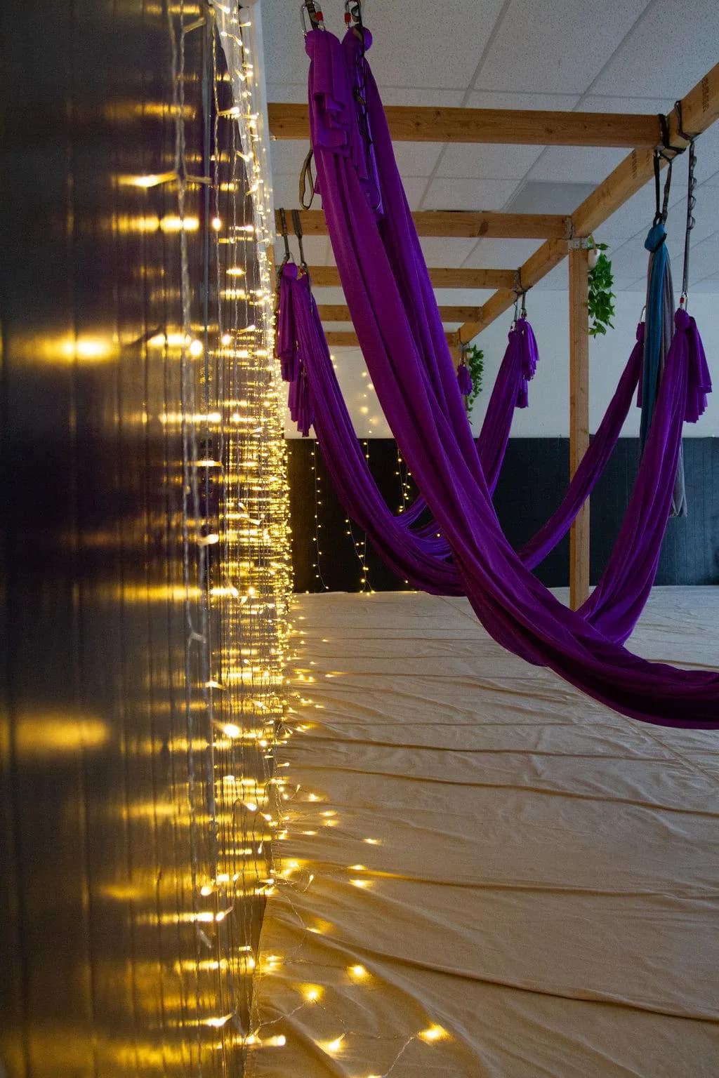 Purple silk hammocks glowing with warm fairy lights