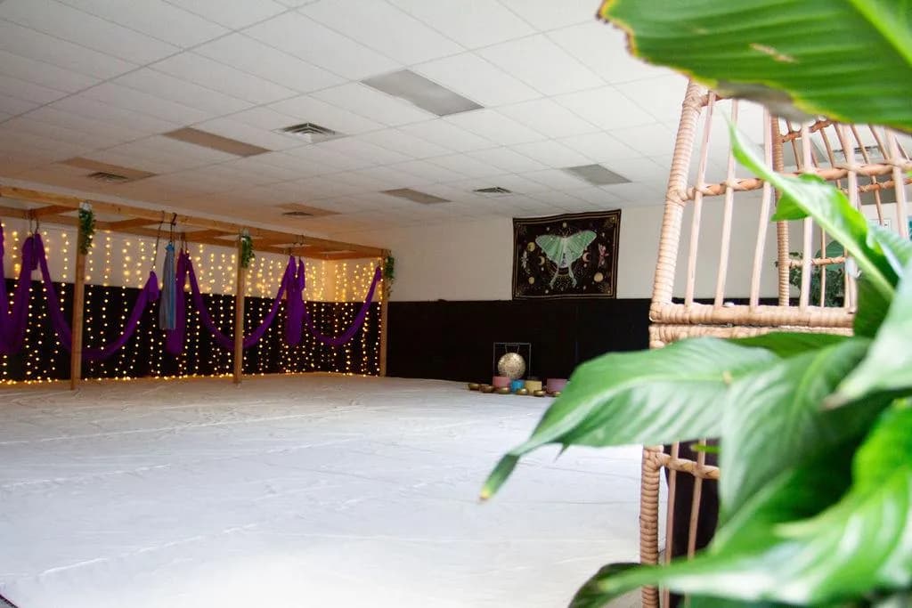 Studio view framed by trailing greenery