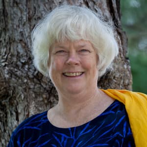 Janet Dhaenens, practitioner at Luna Alchemy